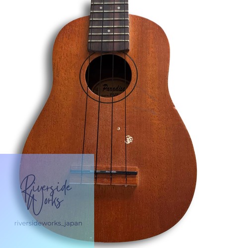 Ukulele paradise - ukulele,