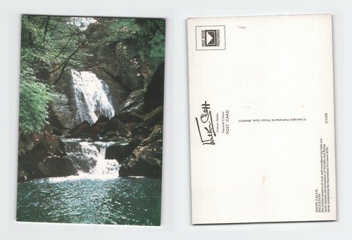 Vintage postcard snow - vintage, falls