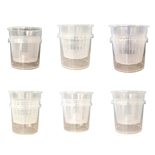 Orchid pots for - orchid, phalaenopsis