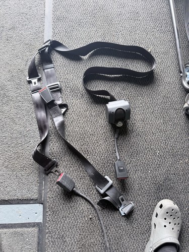 Wheelchair occupant belt - occupant, with
