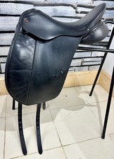17” MN Albion SL Dressage