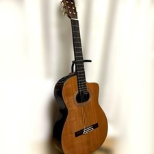 Takamine NPT-315