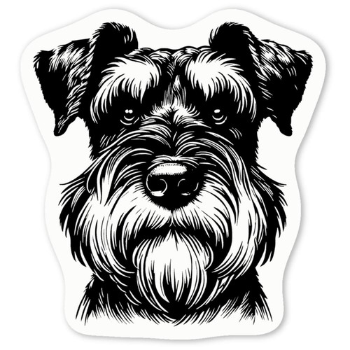 Giant schnauzer portrait - 'giant,