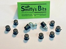 Classic Austin Rover Mini