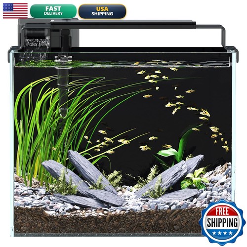 Red tail fish gallon - gm,