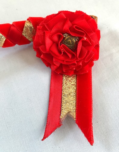 Horse showing browband red - horse,
