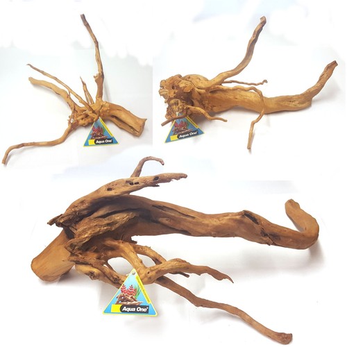 Azalea root natural - root,