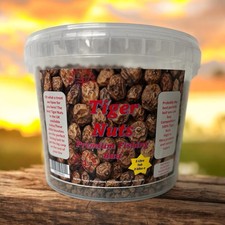 Tiger Nuts The Best Fishing