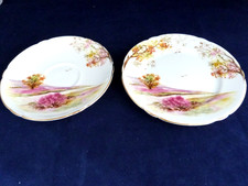 Vintage  Shelley    Old