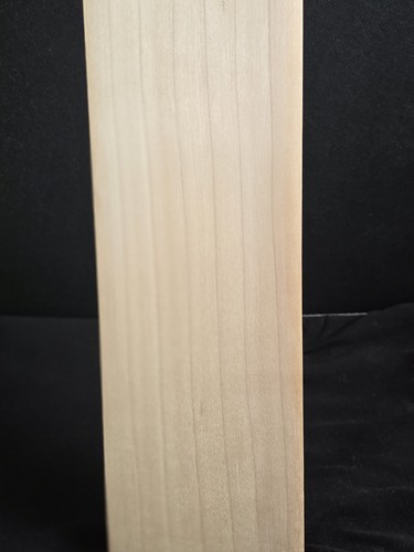 Laminated cricket bat ss - laminated,