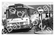 Bus Photograph MIDLAND