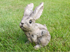 Cute easter bunny - cute,