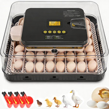 56 Eggs Digital Incubator