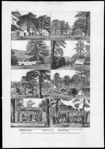 1879 antique print british - print,