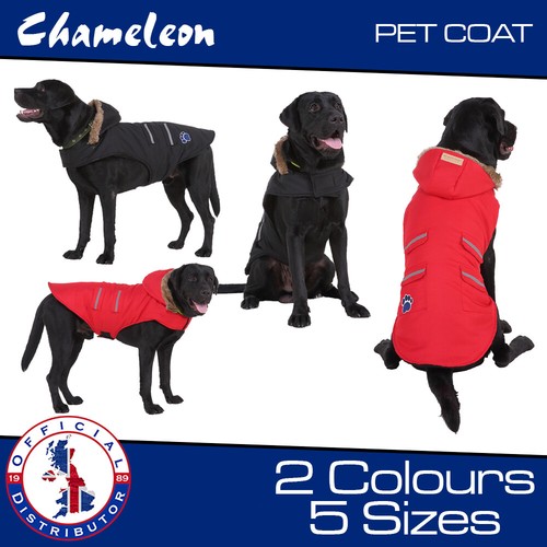 Waterproof black dog coat - dog,