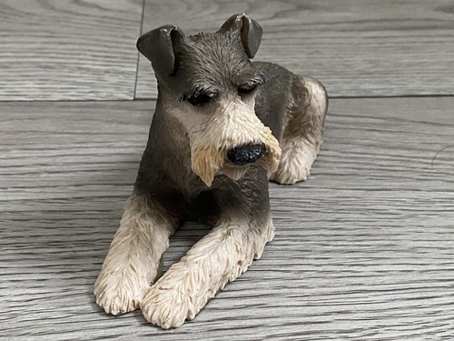 Castagna schnauzer dog - castagna,