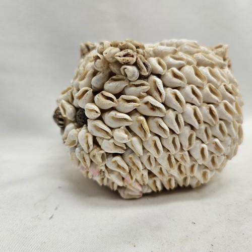 Vintage sea shell - sea, pig