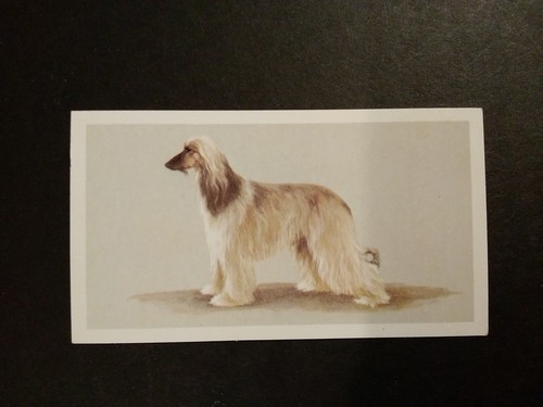 Cigarette cards grandee top - cards,
