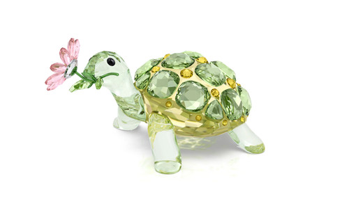 Swarovski idyllia tortoise and - tortoise,