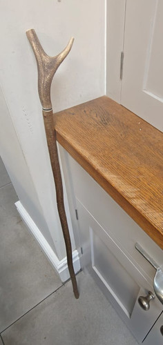 Antler handle hazel stem - antler,