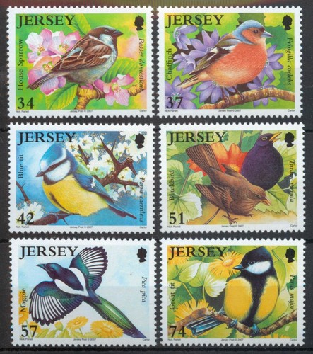 Jersey 2007 birdlife garden - jersey,