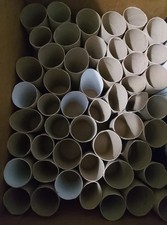 100 Empty Cardboard Toilet