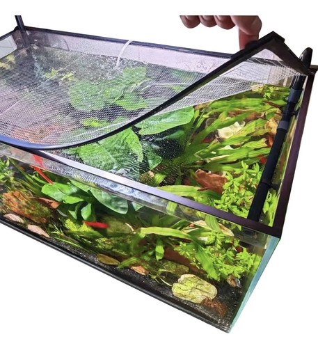 Magnetic aquarium lid - lid, fish