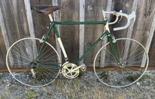 Raleigh Professional MK 1