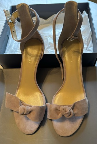Women ann taylor - taylor, erica