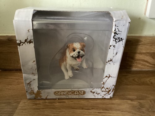 Sandicast bulldog fawn at - bulldog,