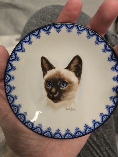 Vintage siamese cat - cat, by