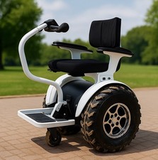 Off Road Segway Mobility