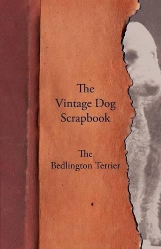 Various the vintage dog - various,