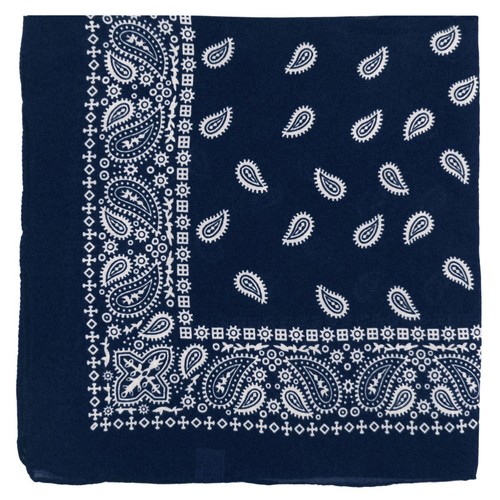 Extra large paisley - large,