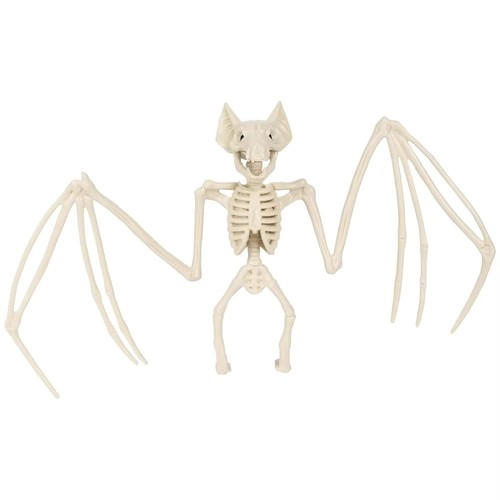 Halloween bat skeleton - bat,