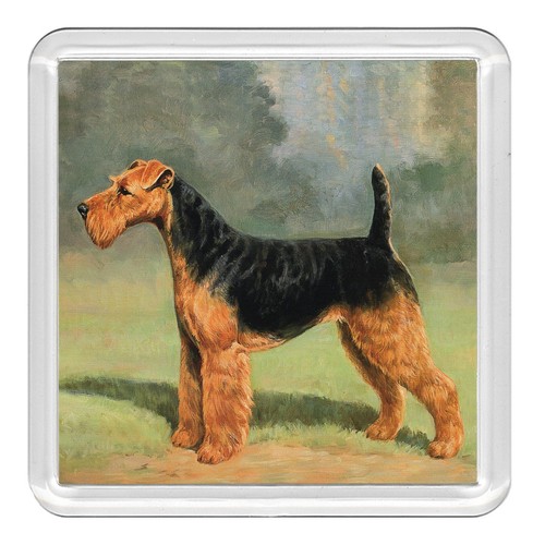 Welsh terrier dog - dog, acrylic