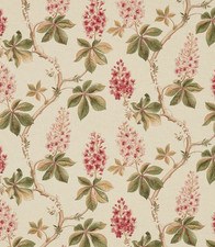 Sanderson chestnut tree - chestnut, coral/