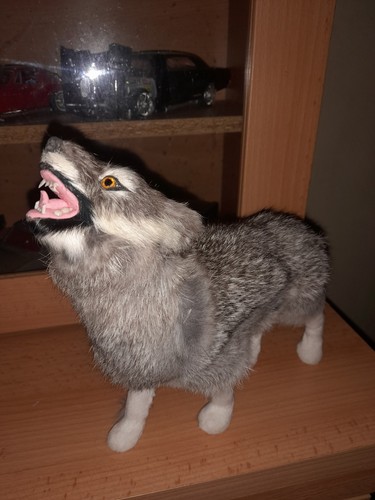 Fake taxidermy wolf - fake,