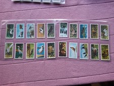 Complete set brooke - set,