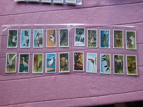 Complete set brooke bond - complete, tea