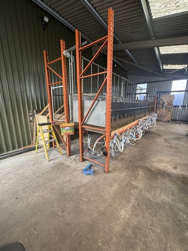 Sheep milking parlour - parlour, and