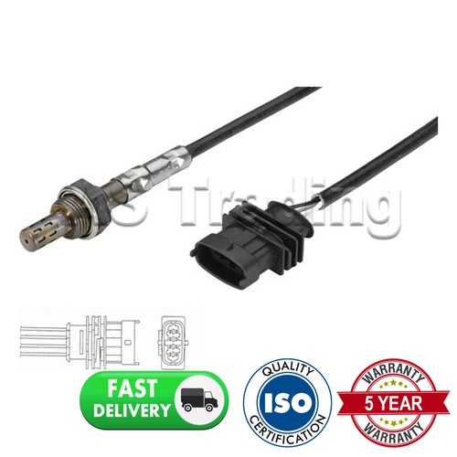 Rear wire oxygen - wire,