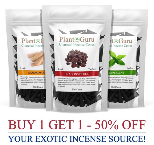 200 jumbo charcoal incense - 200,