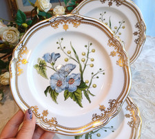 Spode "Stafford Flowers" lunch