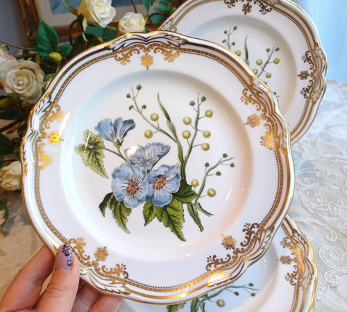 Spode stafford flowers lunch - spode, "stafford