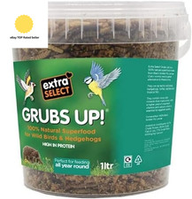 Grubs up - Black Soldier Fly