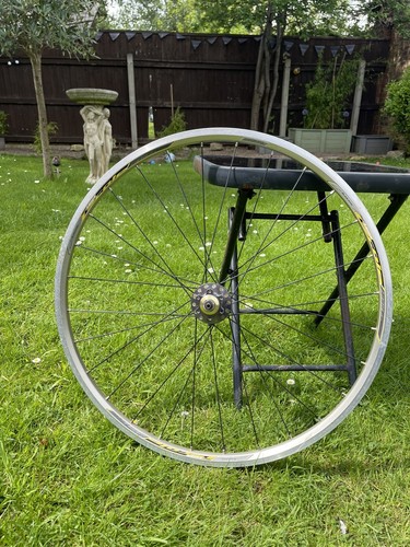 Cole araya rare retro - rare, 26”