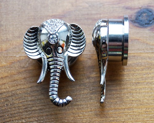 Elephant ear tunnels indian - ear,