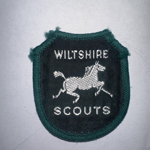 Boy scout badge - badge, wiltshire