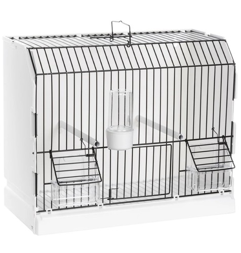 Bird travel transport carry - bird,